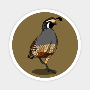 California Quail Magnet